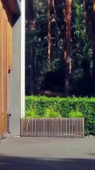 She Came Out Of A Coma After 7 Years (2025) - FULL [Eng Sub]