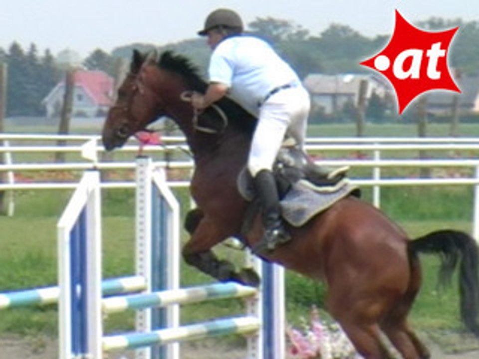 Herbert Paintner, Springreiten, Kottingbrunn (2008-018)