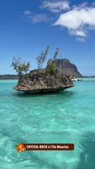 CRYSTAL ROCK à l'île Maurice