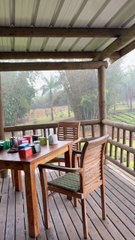 L'EMBALLAGE DU THE à Bois Chéri