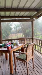 DEGUSTATION DE THE à Bois Chéri