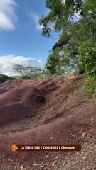 LA SUBLIME TERRE DES 7 COULEURS à Chamarel