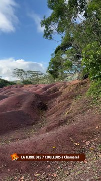 LA SUBLIME TERRE DES 7 COULEURS à Chamarel