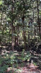 LA SUPERBE COULEUR de l'eau au Bras d'Eau