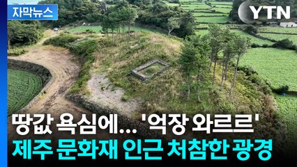 [자막뉴스] 땅값 욕심에 산림 '싹둑'... 제주 문화재 인근까지 무단 훼손 / YTN