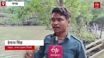 पन्ना का पांडव फॉल बना टूरिस्टों का पसंदीदा प्लेस, वनवास के दौरान आए थे यहां पांडव