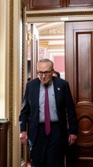 Democrats Have a Turbocharged Midterms Message