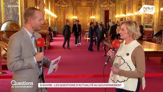Réforme des retraites : Le Sénat a voté cette réforme, je pense que nous la rétablirons