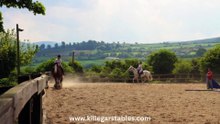 Killegar Stables