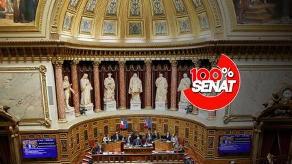 100% Sénat - Auteurs mineurs de violences sexuelles : comment les prendre en charge ?