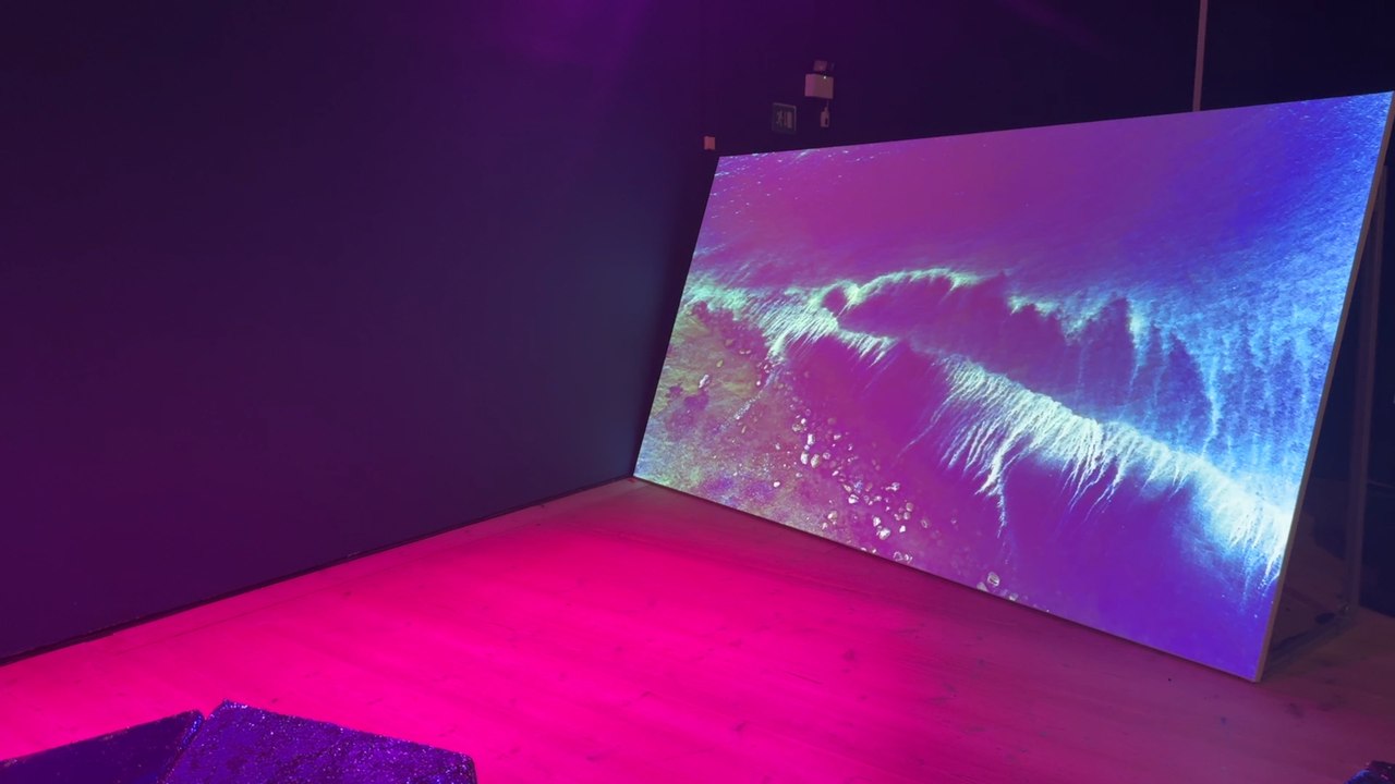 North East Artists Dive Deep into Ocean Ecologies at New Baltic Exhibition