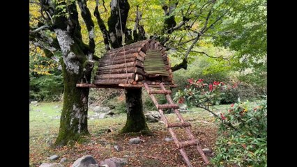 Building a Dream Treehouse in the Rain | Solo Bushcraft & Camping with Dogs