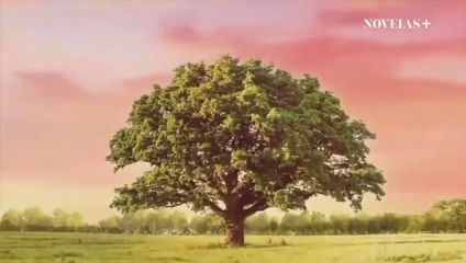 Na miłość nie ma recepty - 81