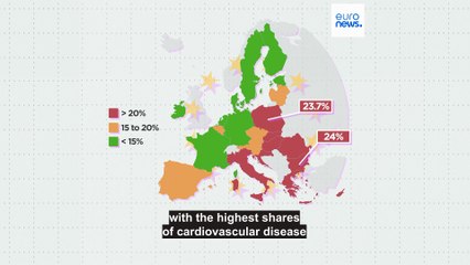 How do environmental factors contribute to cardiovascular disease in Europe?
