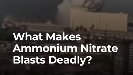 How Ammonium Nitrate Turned Delhi’s Red Fort Blast Deadly