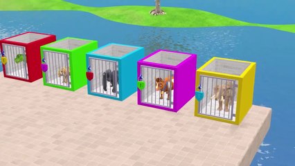 Long Slide Game With Cow Elephant Gorilla Hippopotamus Tiger - 3d Animal Game - Funny 3d Animals