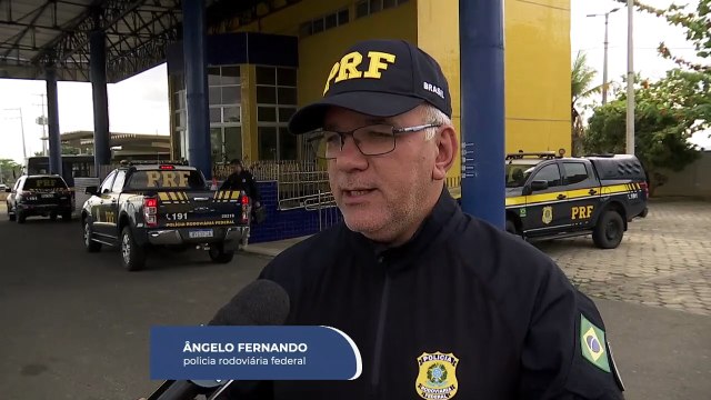 Maus-Tratos de Animais na BR-232: Resgate de Cadela em Bezerros e o Papel das ONGs