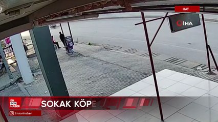 Hatay'dasokak köpeğine çarpan motosikletli metrelerce sürüklendi