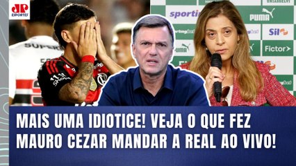 "ISSO É MAIS UMA BABAQUICE!!! O que PRECISA SER DITO é que..." Mauro Cezar | Palmeiras e Flamengo