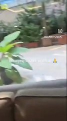 Bollywood veteran actor Dharmendra brought home; his family members at home; fans pray for his early recovery