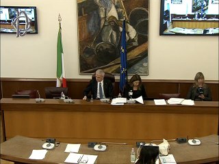 Roma - ​​ Disforia di genere - Audizione - Agedo nazionale (Associazione di genitori, parenti e amici di persone LGBT+), GenderLens APS (12.11.25)