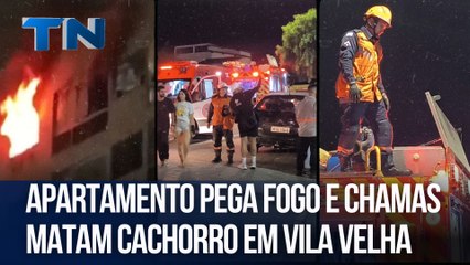 Apartamento pega fogo e chamas matam cachorro em Vila Velha