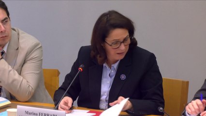 "Je suis bien consciente des difficultés que rencontrent les associations" déclare Marina Ferrari