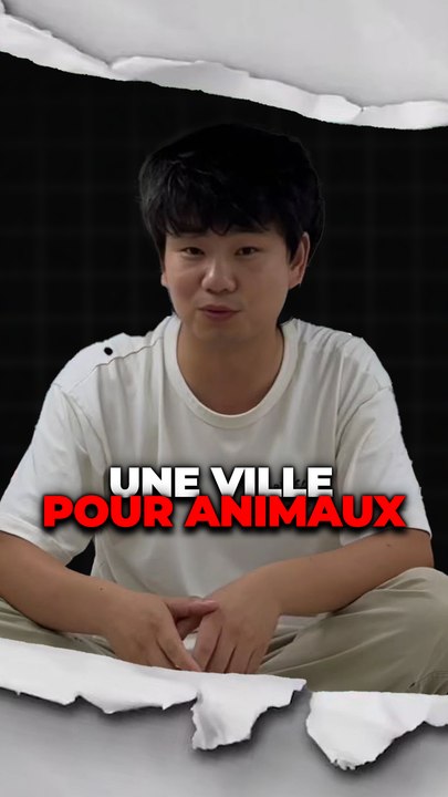 Une ville pour animaux