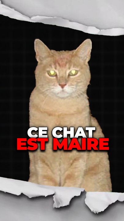 Stubbs le boss