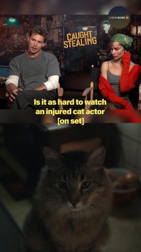 Even Austin Butler And Zoë Kravitz Were Impressed By The Acting Skills Of The Cat In ‘Caught Stealing’ #shorts
