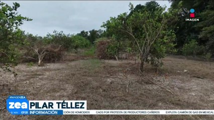 Productores de naranja se ven seriamente afectados por el paso de “Priscilla”