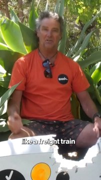 The terrifying moment an Australian windsurfer gets pulled underwater by a shark