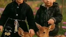 _❤️❤️_Innocent_Smiles_in_Nature’s🎄🦌(480p)