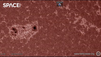 Watch Time-Lapse Of Massive Sunspot Growth From Spacecraft