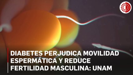 La diabetes altera funciones de fecundación en espermatozoides: investigadores de la UNAM