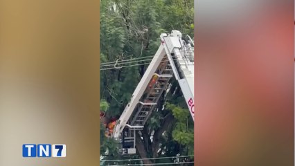 tn7-publireportaje-dos-pinos-121125