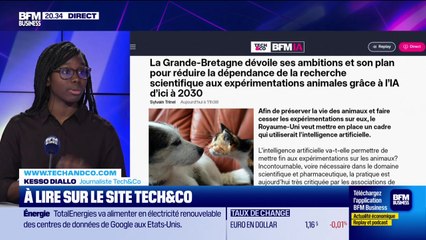 À lire sur le site Tech&Co : La Grande-Bretagne dévoile ses ambitions et son plan pour réduire la dépendance de la recherche scientifique aux expérimentations animales grâce à l'IA d'ici à 2030, par Kesso Diallo - 12/11