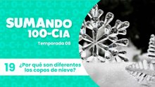19 ¿Por qué son diferentes los copos de nieve?
