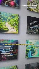 Inteligência artificial cria imagens do futuro no Museu do Amanhã