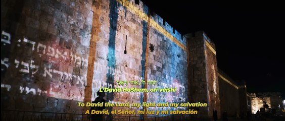 L'David by Yaakov Shwekey