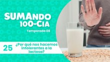 25 ¿Por qué nos hacemos intolerantes a la lactosa?