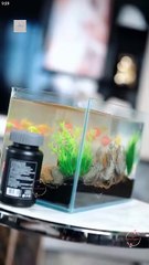 🧡🍏 🔥  Chasing My Bestie's Brother-in-Law Full