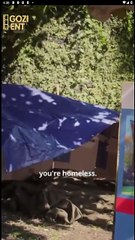 Swept Away By My Janitor Husband & Detailed Version - Full Movie