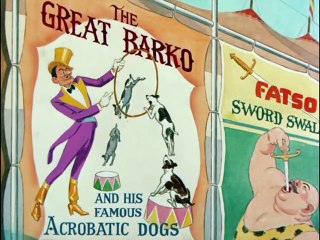 Droopy - Daredevil Droopy - 31 March 1951