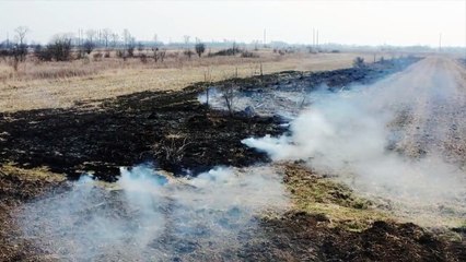 FIRA impulsa créditos de largo plazo para fortalecer a productores y empresas