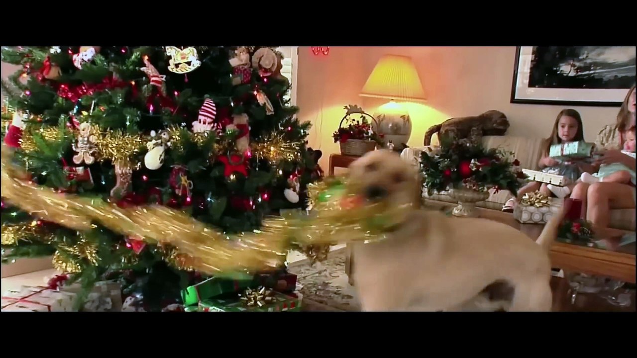 Marley & Me Movie (2008) - Owen Wilson, Jennifer Aniston