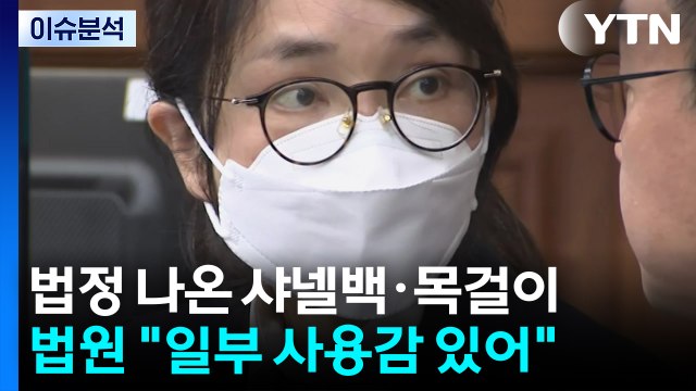 [뉴스UP] 재판서 공개된 샤넬백·구두...판사 사용감 있다 / YTN