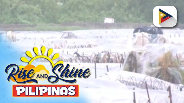 Bagyong #UwanPH, nag-iwan ng P188.27M na pinsala sa sektor ng agrikultura