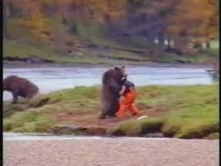 Funny Videos - Man Fights A Bear
