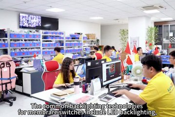 Backlighting Membrare Switch Subassemblies (2)